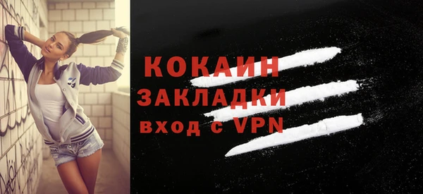 дмт Лабытнанги