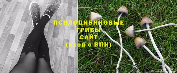 ГАЛЛЮЦИНОГЕННЫЕ ГРИБЫ Лагань