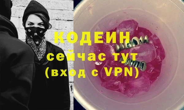 дмт Лабытнанги