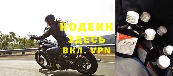 ГАЛЛЮЦИНОГЕННЫЕ ГРИБЫ Лагань